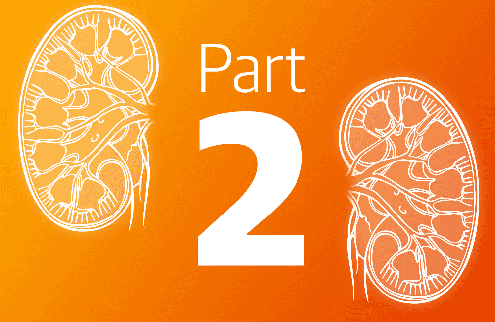 what-are-the-5-stages-of-chronic-kidney-disease