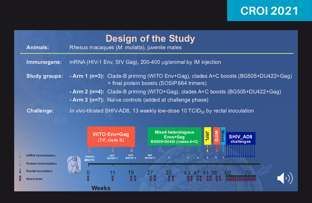 HIV Vaccines