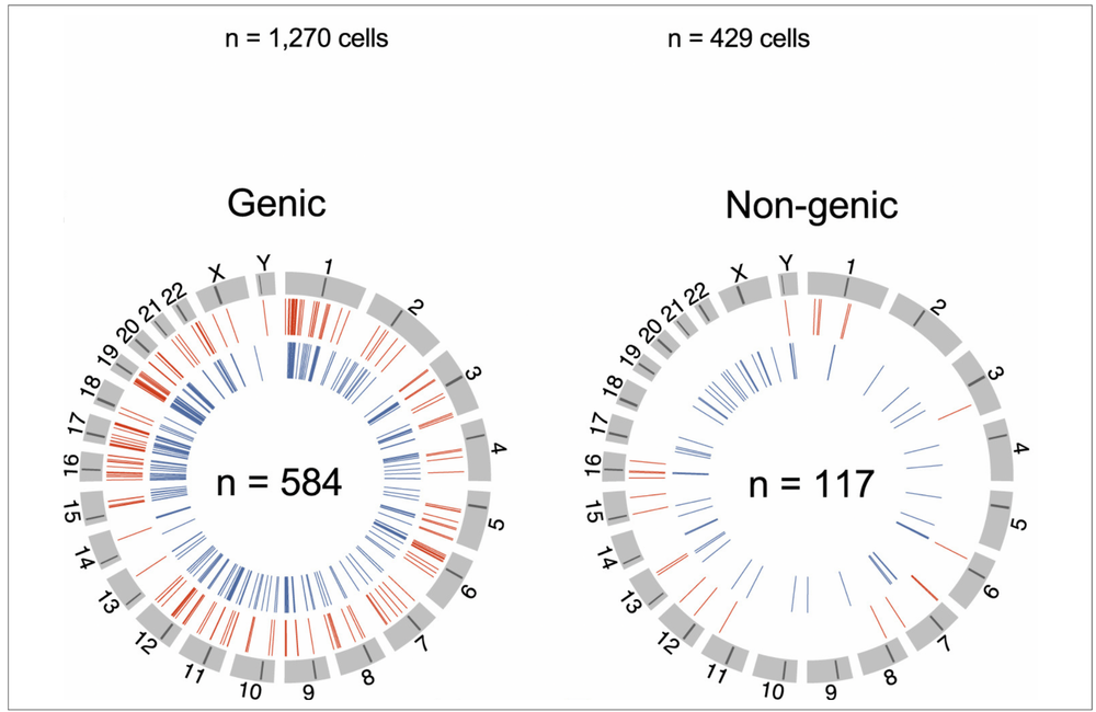 This figure from the journal article shows how all the pieces of proviral DNA found in all six study participants' cells were distributed around the 23 pairs of chromosomes in the  cells' nuclei. The red lines are DNA that gave rise, at one or more time points, to viral RNA, and the blue lines are DNA that never did. It can be seen that RNA production was rare from DNA that was located outside active gene sites in the 'gene deserts'. 